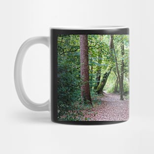 Woodland Trees Pathway With Fallen Leaves Mug